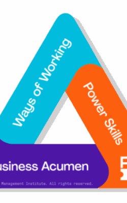 PMI Talent Triangle® Workshop Bundle for PDUs